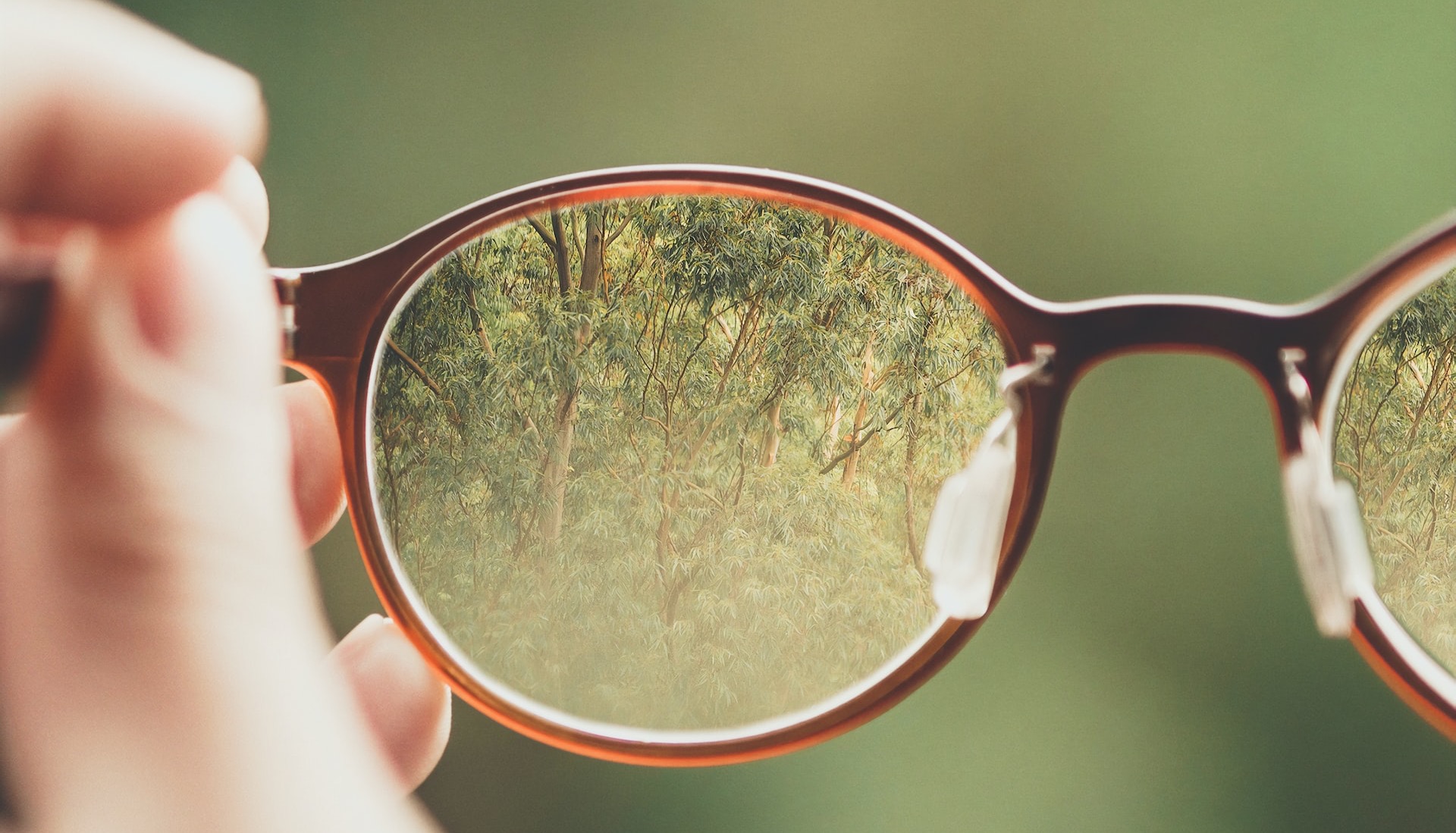 person holding brown eyeglasses with green trees background